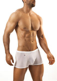 Joe Snyder Boxer