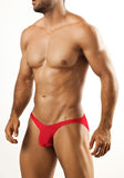 Joe Snyder Bulge Full Bikini