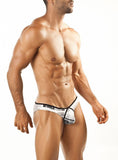 Joe Snyder Bikini Pride Frame
