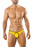 Joe Snyder Bikini Pride Frame