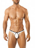 Joe Snyder Thong Pride Frame