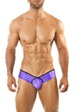 Joe Snyder Mini Cheek Pride Frame